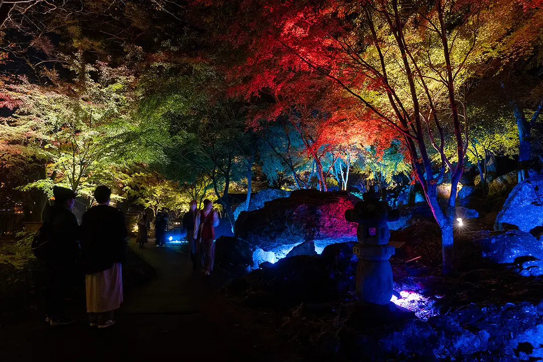 アキウルミナ2025 -AKIU LUMINA-