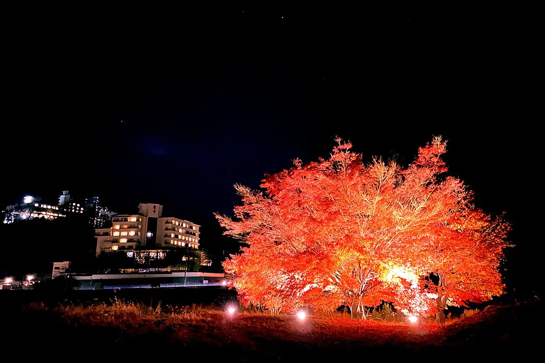 アキウルミナ2025 -AKIU LUMINA-