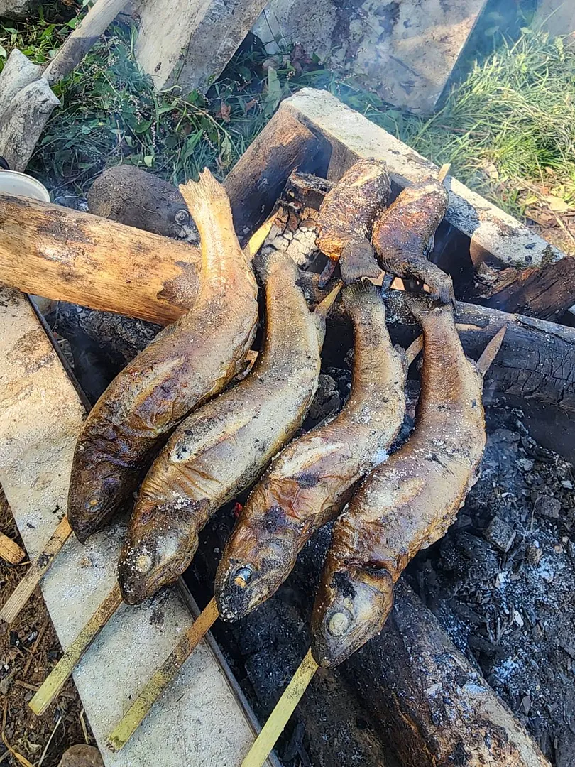 S__65978598.jpg