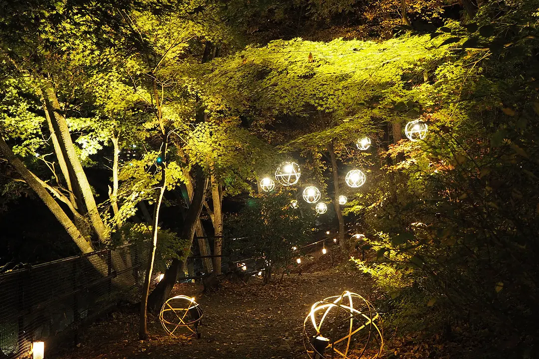 磊々峡もみじのこみちライトアップ