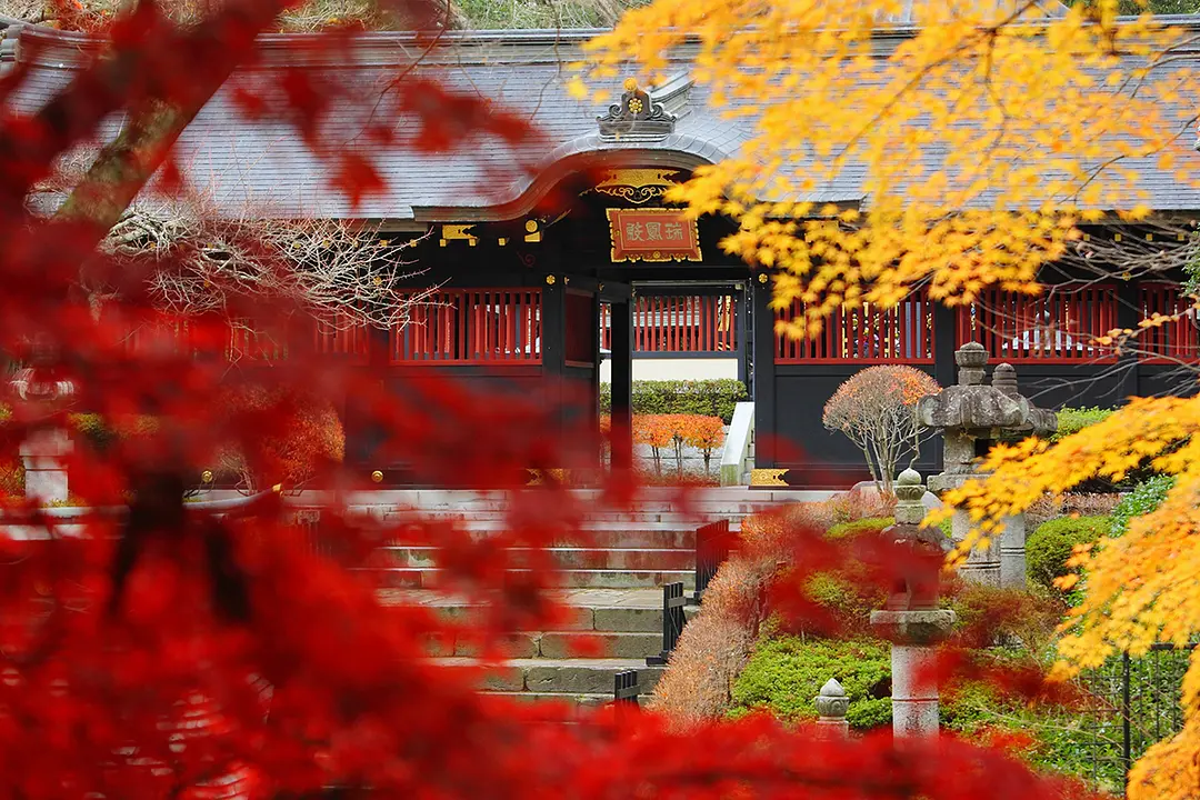 瑞鳳殿の紅葉めぐり