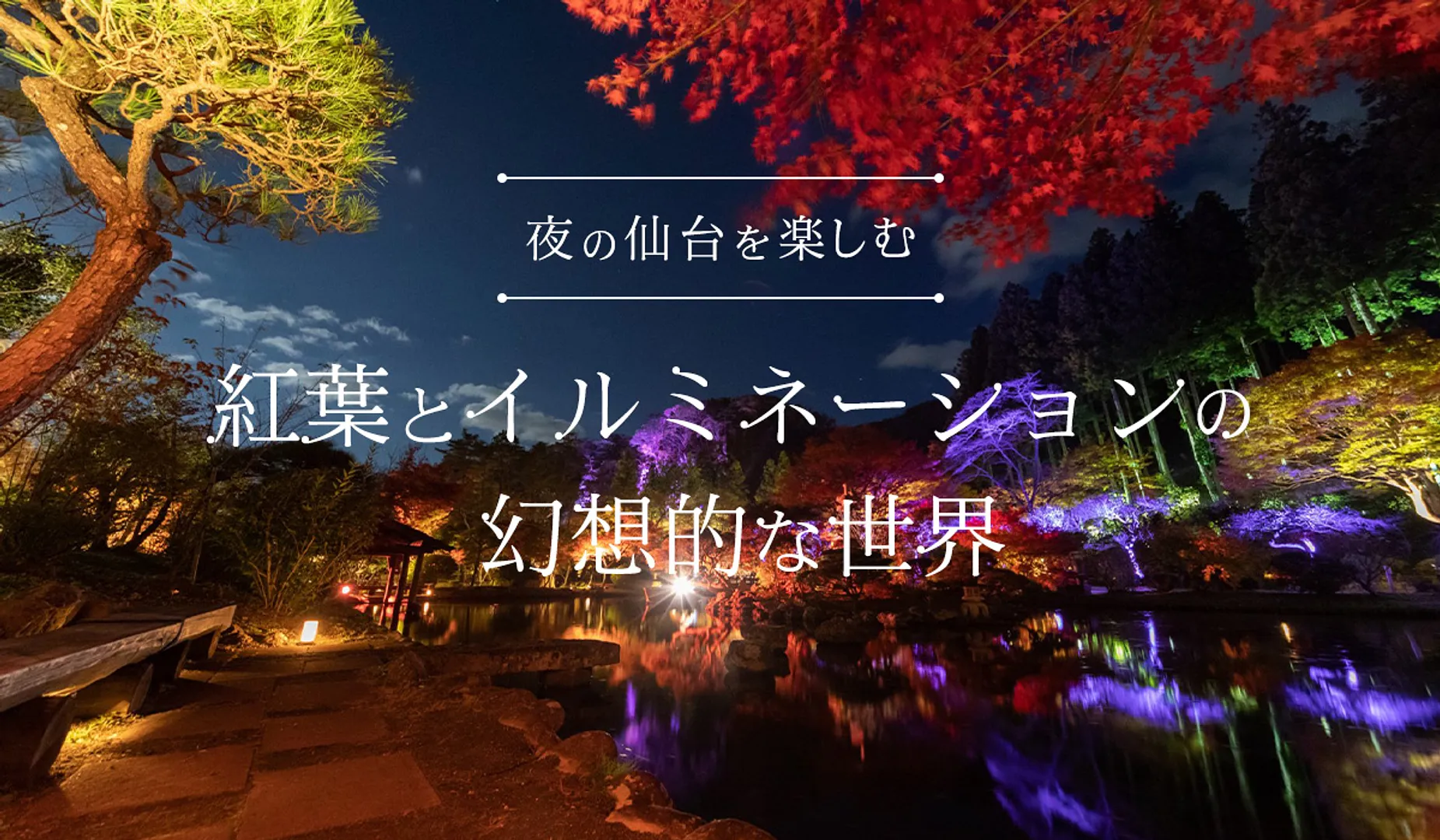 紅葉とイルミ特集mv.jpg