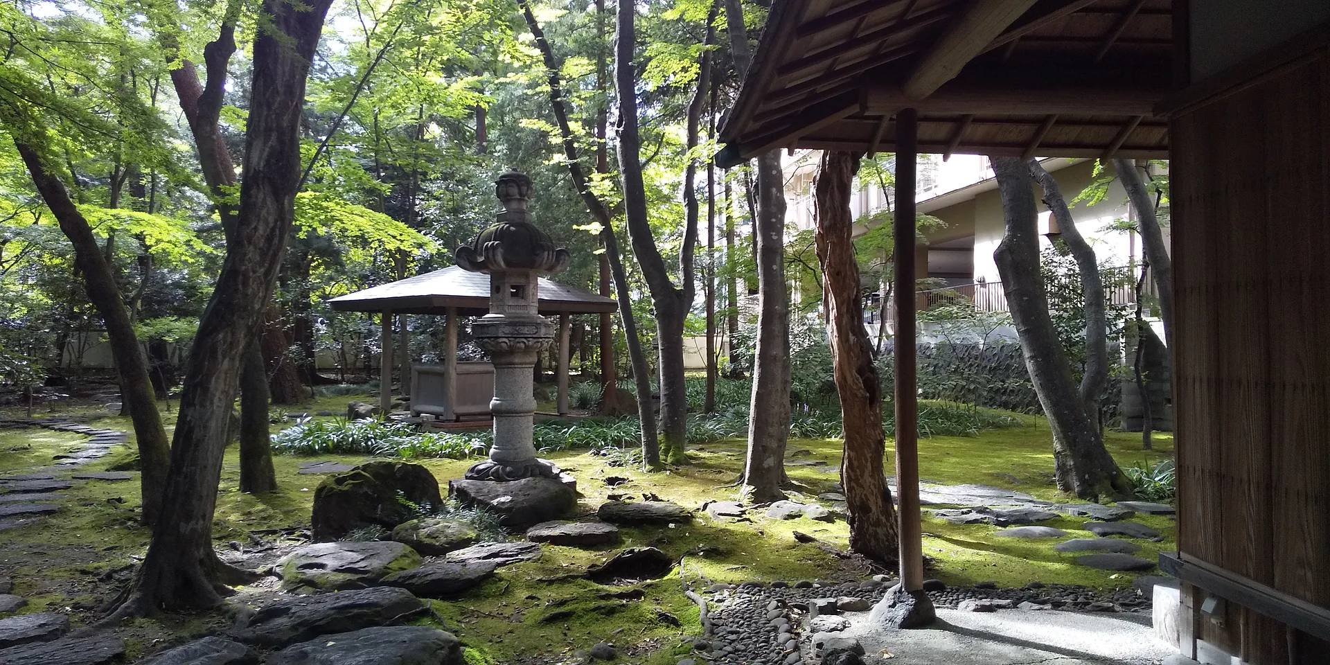 庭DSC_0958 1.JPG