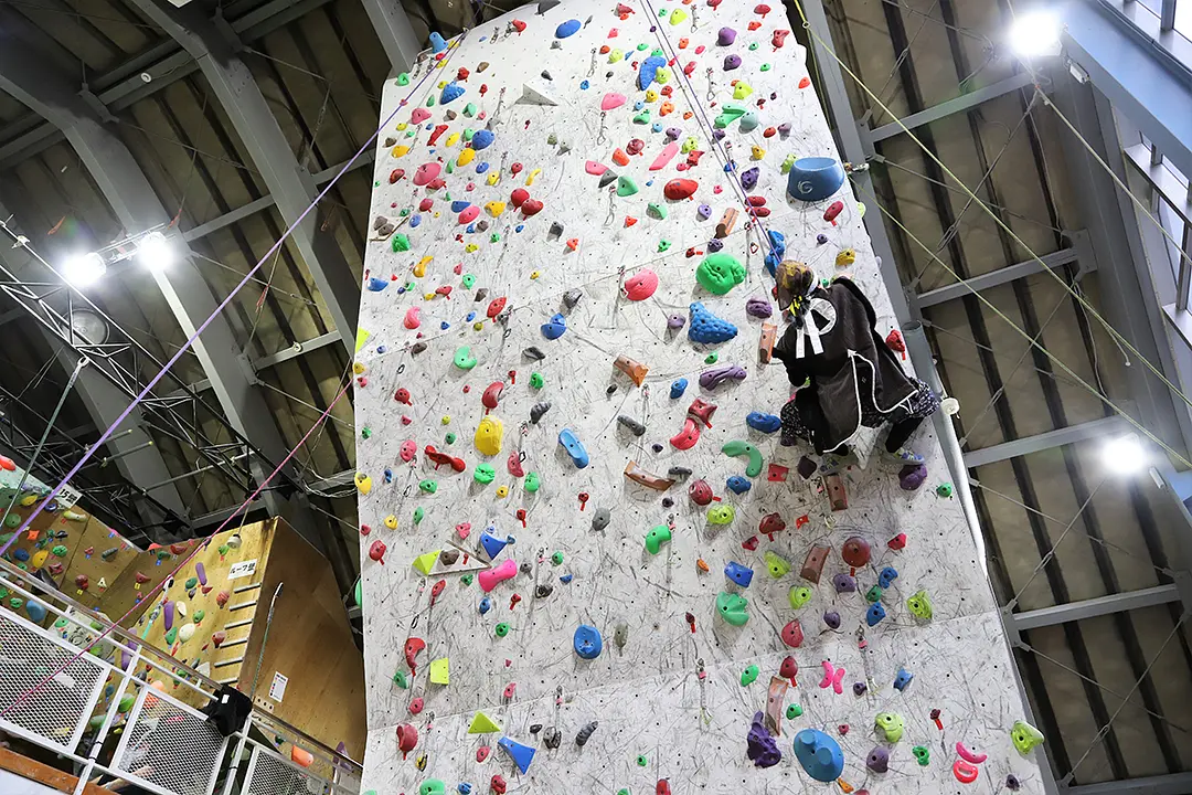 景綱公すごい！オーバーハングのような壁を中程まで攻略されました。