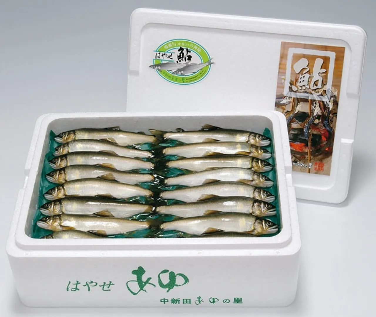 はやせ鮎 活き〆鮎1kg 6月中旬～9月中旬販売