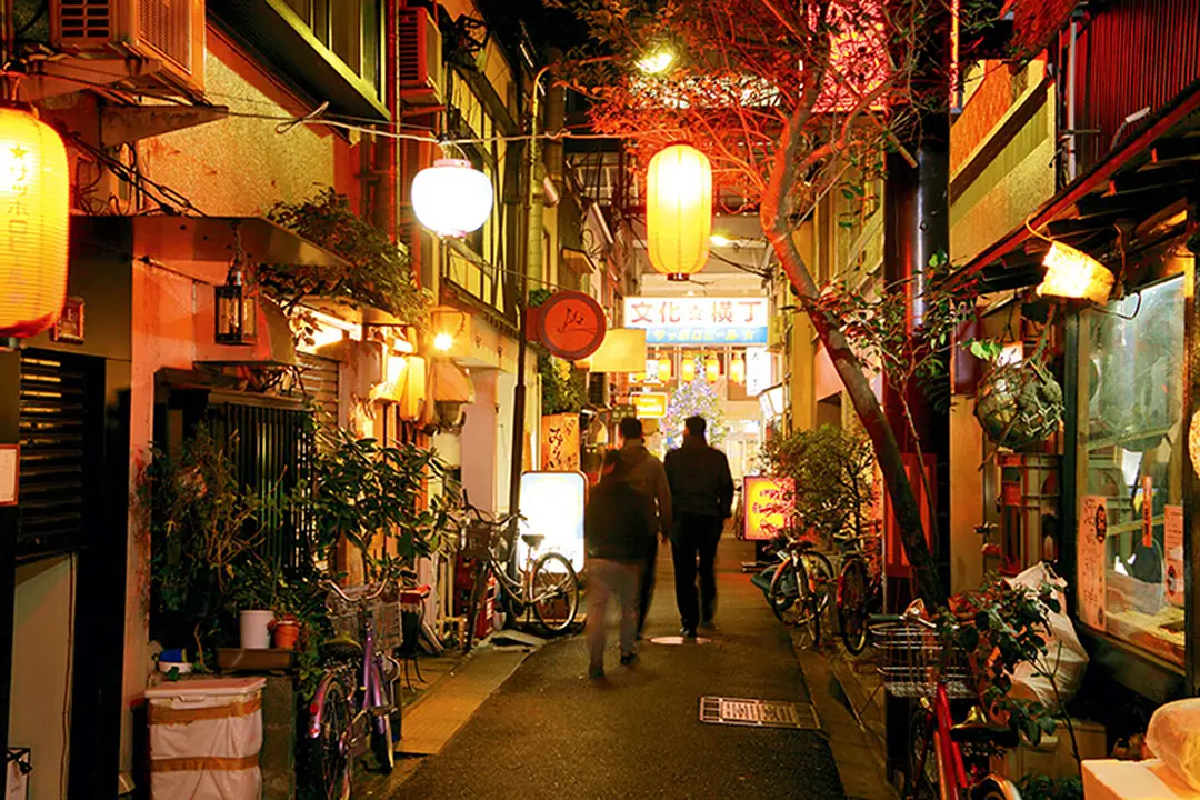 いろは横丁·文化横丁