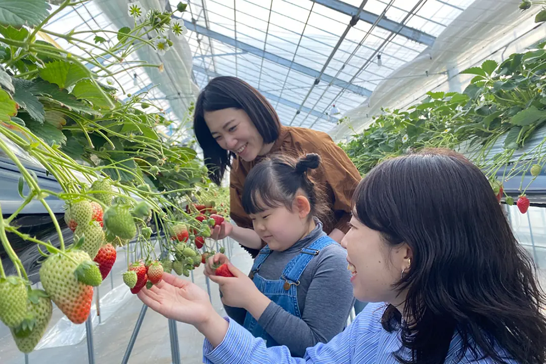 JRフルーツパーク仙台あらはま
