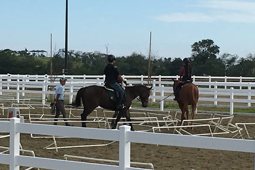 本格的な乗馬レッスンを体験してみませんか