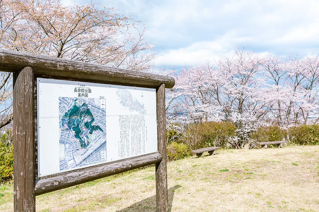 長命館跡の説明もされています。