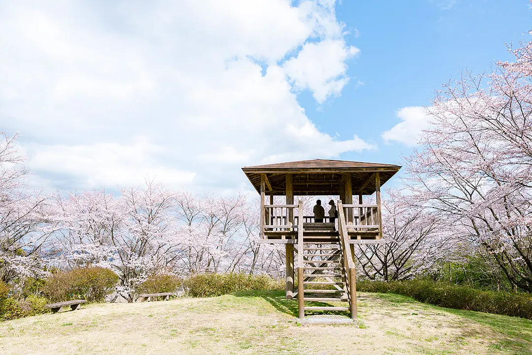 丘陵には展望台もあり、泉区の街並を一望できます。
