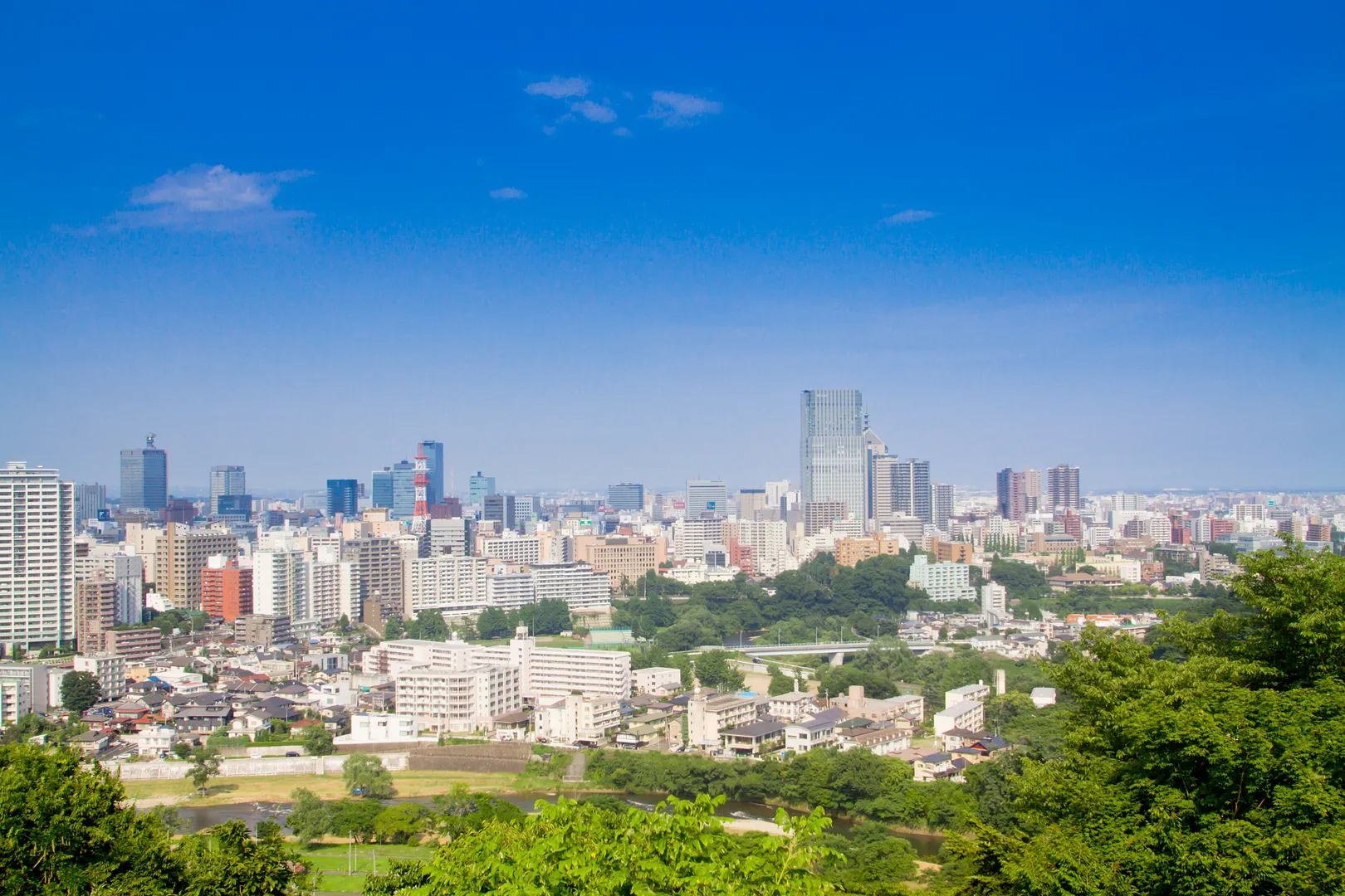 公の場での発言・インタビュー報道記録