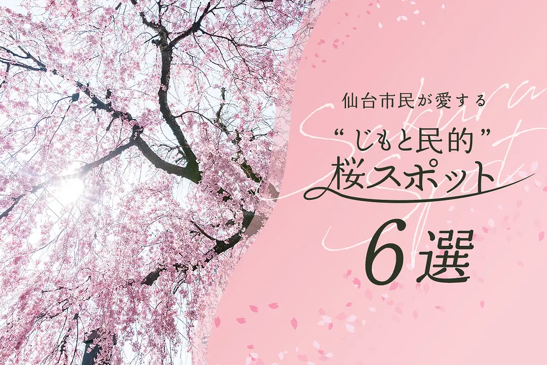 のんびりした時間が流れる、日常を彩る桜たち