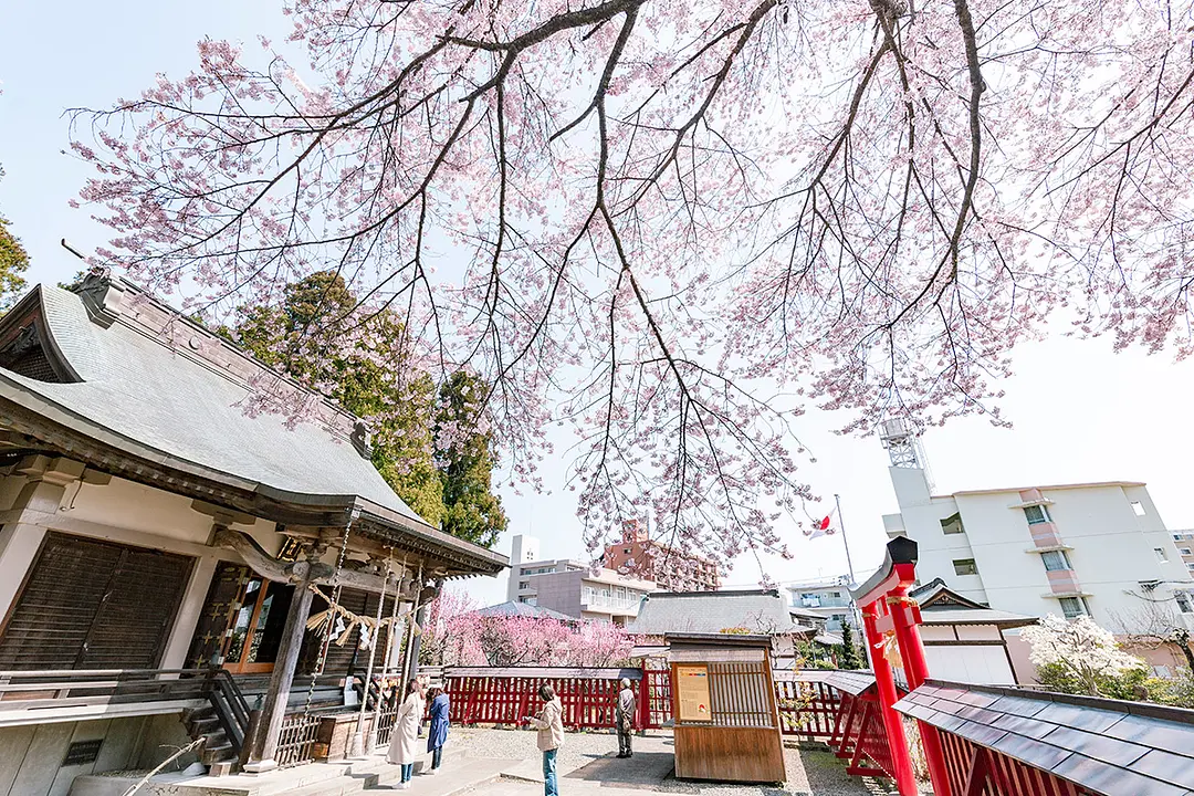 天気のいい日は家族連れや写真撮影に訪れる方が多い。