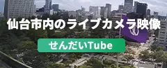 仙台市内のライブカメラ映像