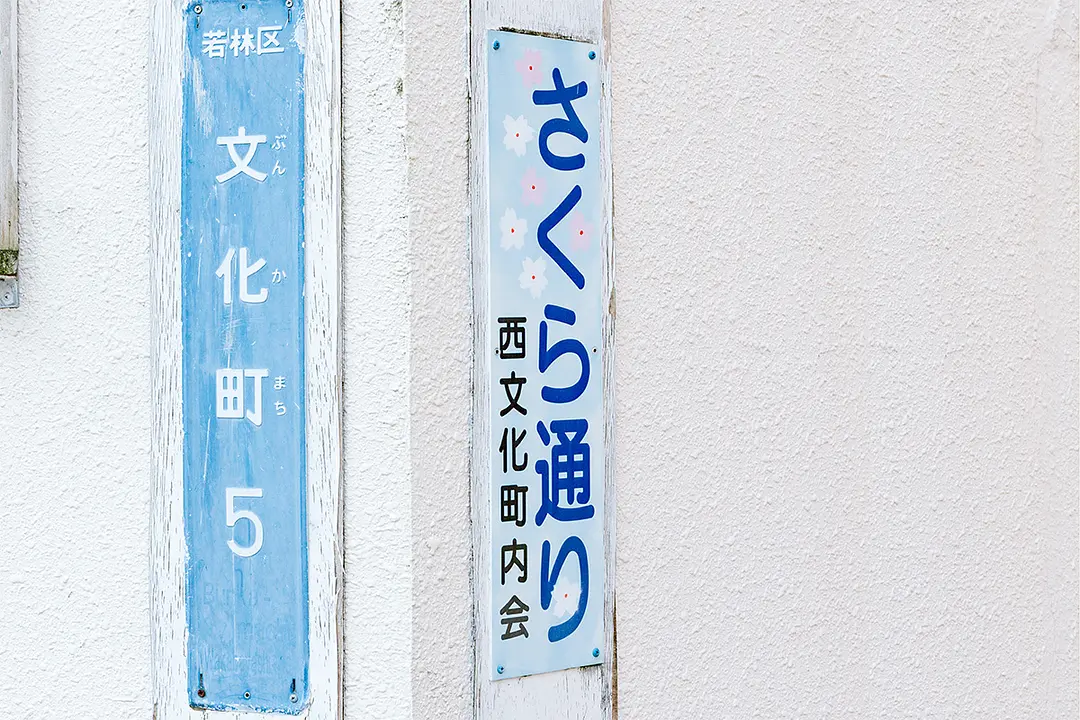 町内会で「さくら通り」と名付け、景観を守るために花びらや落ち葉の始末も丁寧に行っている。