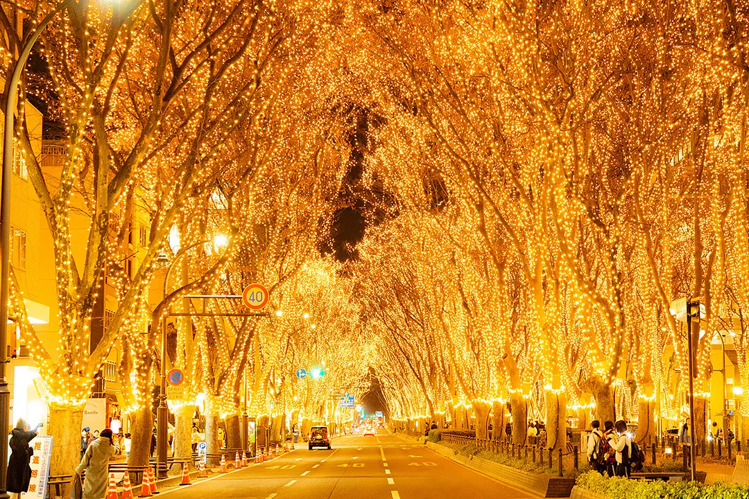 準グランプリ：オレンジ