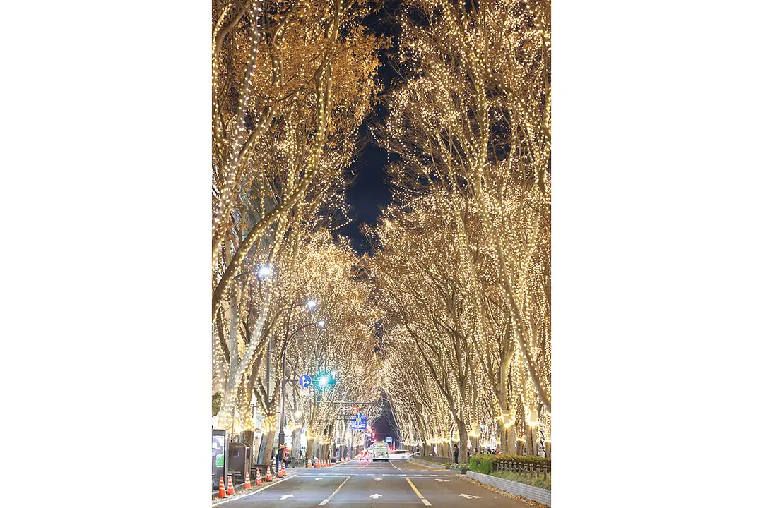 入選：やっぱり好きだなこの感じ☆SENDAI