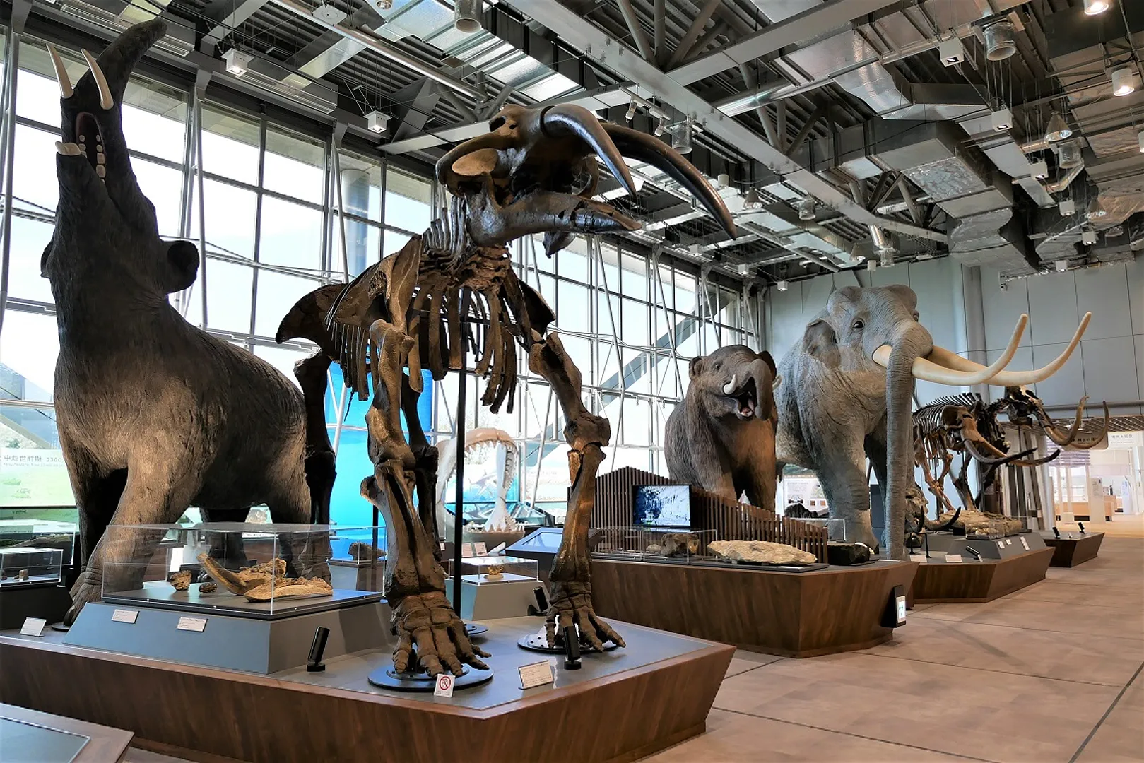 HOKUSHU仙台市科学館