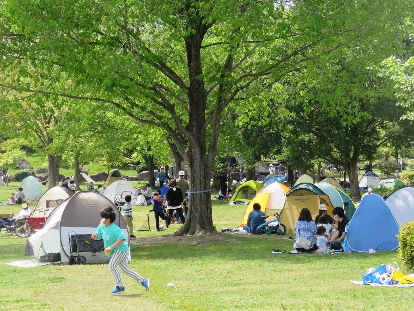 泉のセントラルパークと呼ばれる「芝生広場」
