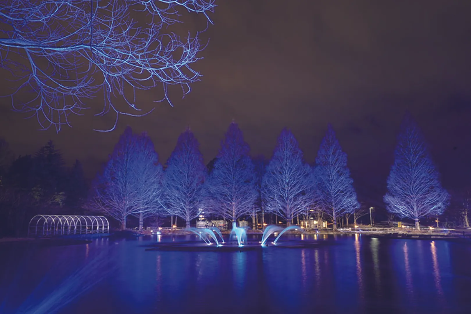 おしゃれな冬のライトアップ「イルミネーション＆キャンドルナイト」