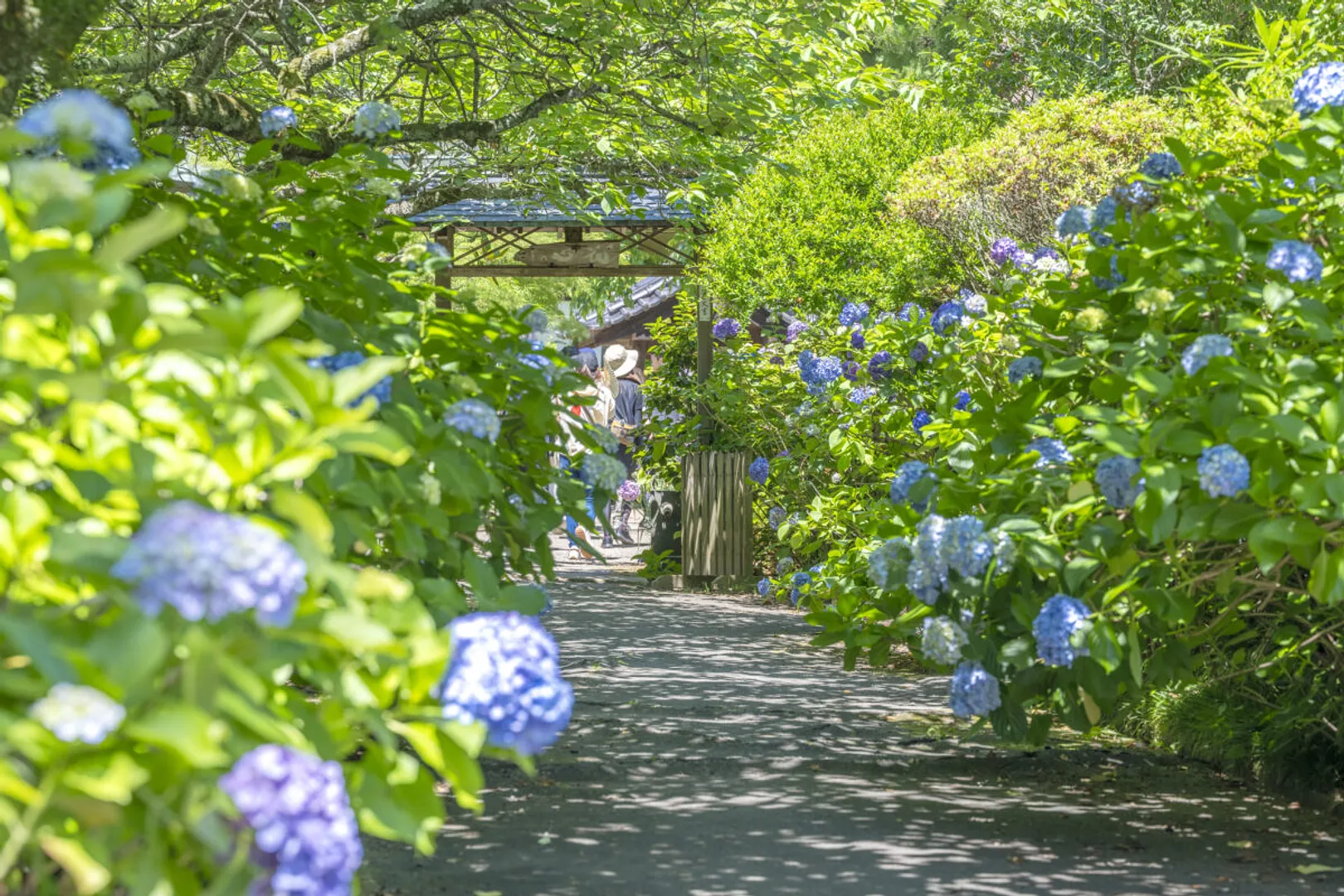 境内へ続く小径