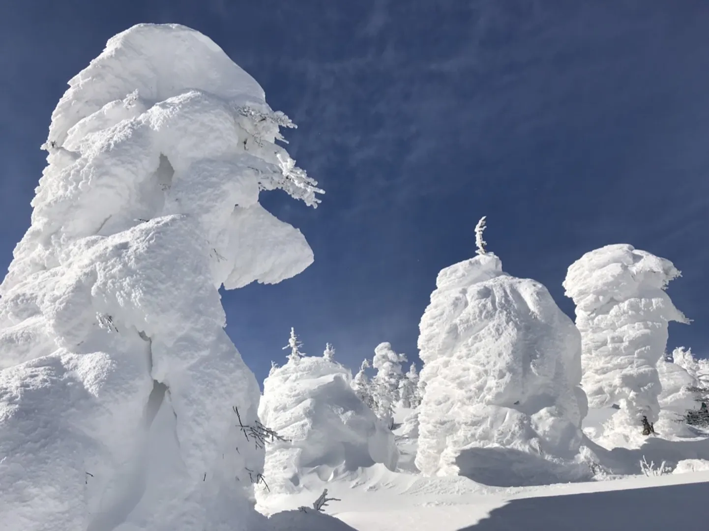 大自然の神秘 樹氷