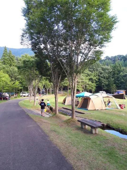 道路を挟み、左がオートサイト、右がフリーサイトです。