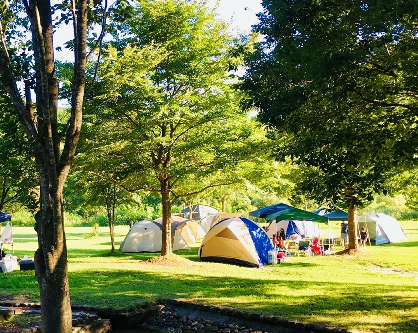 フリーサイト 広々とした芝生のサイトです。