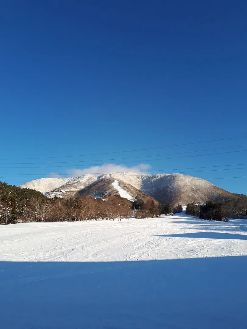 緩斜面で広いゲレンデは初級者やお子様に大人気です。