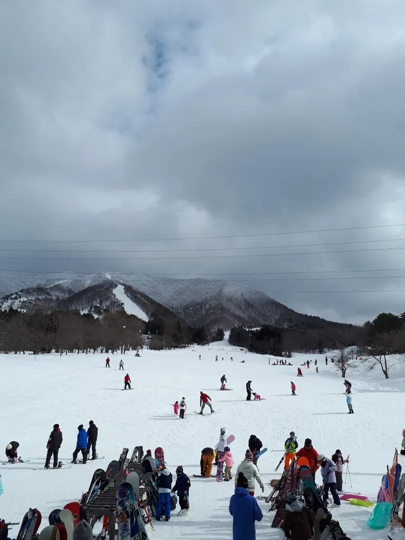週末には家族連れで賑わいます。