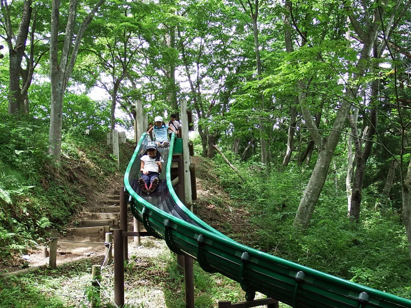 フィールドアスレチック