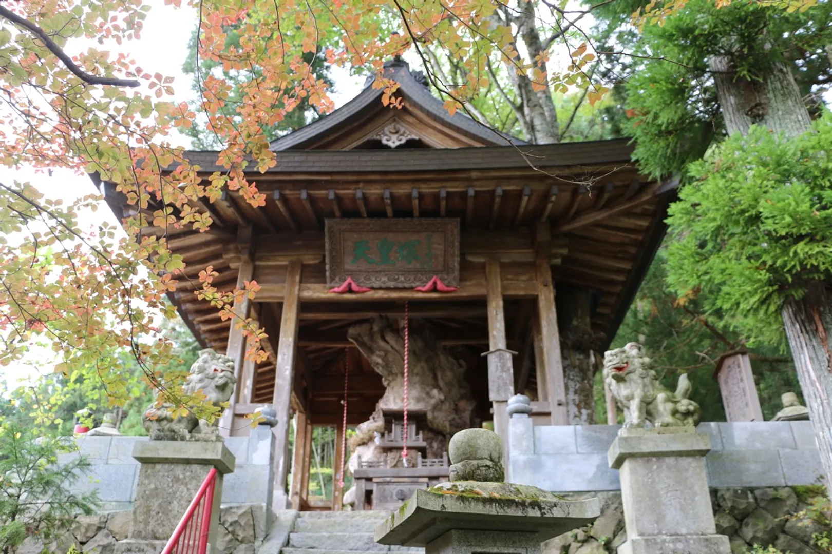 天皇塚・連理の欅