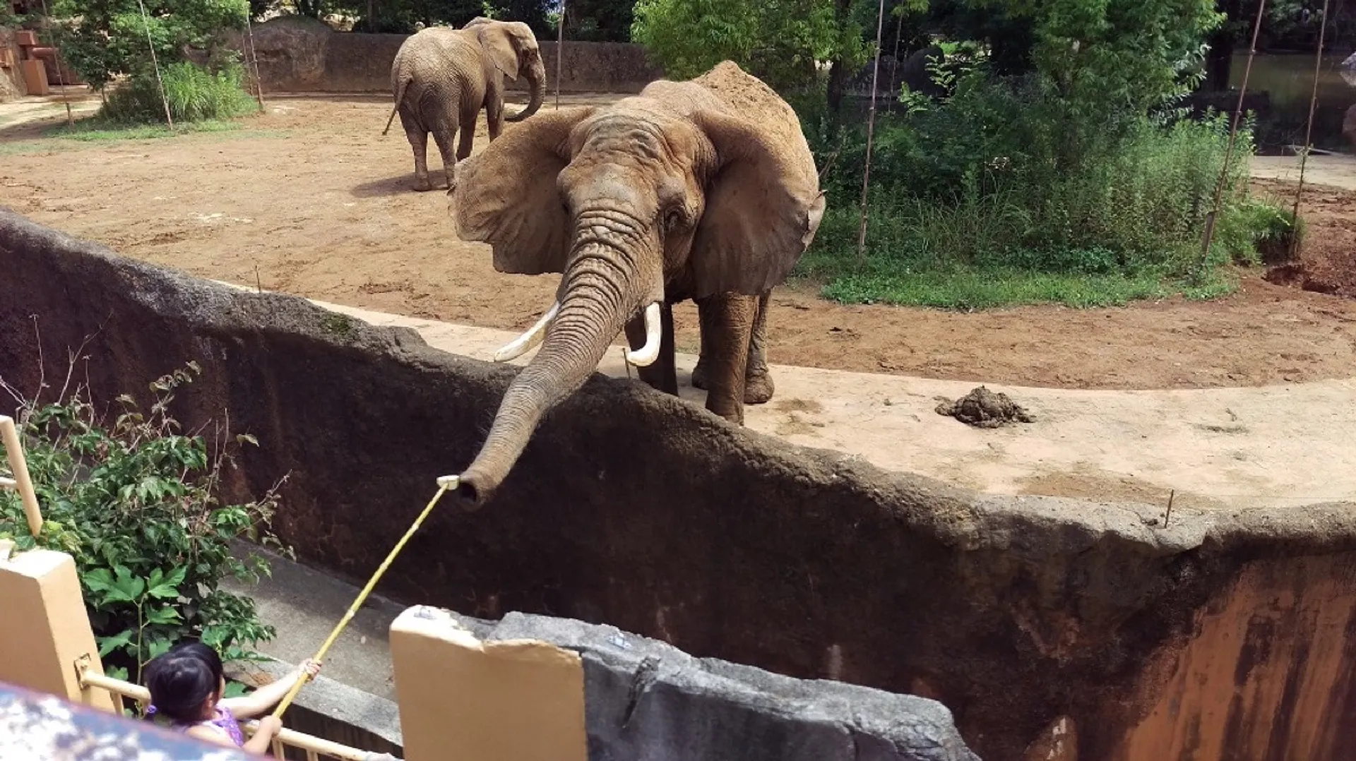 「えさやり体験／ふれあい体験」は毎日実施