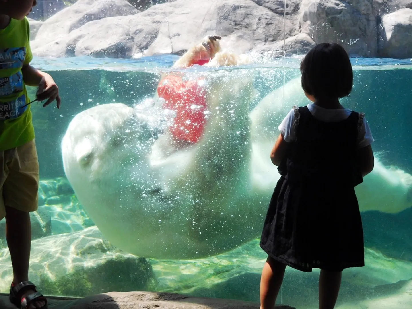 動物たちとの距離が近いのも魅力