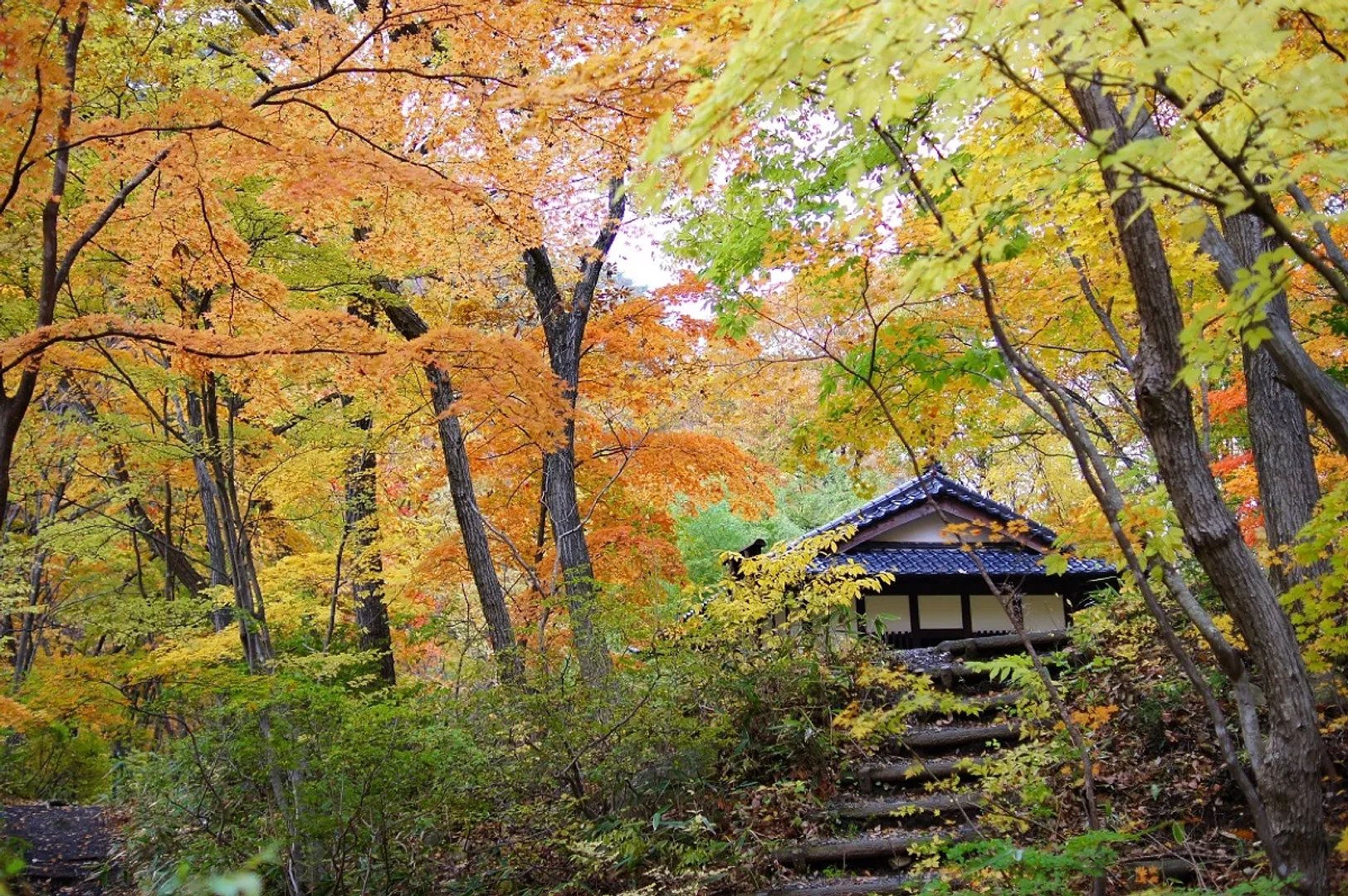 すだれ滝から休憩所へ