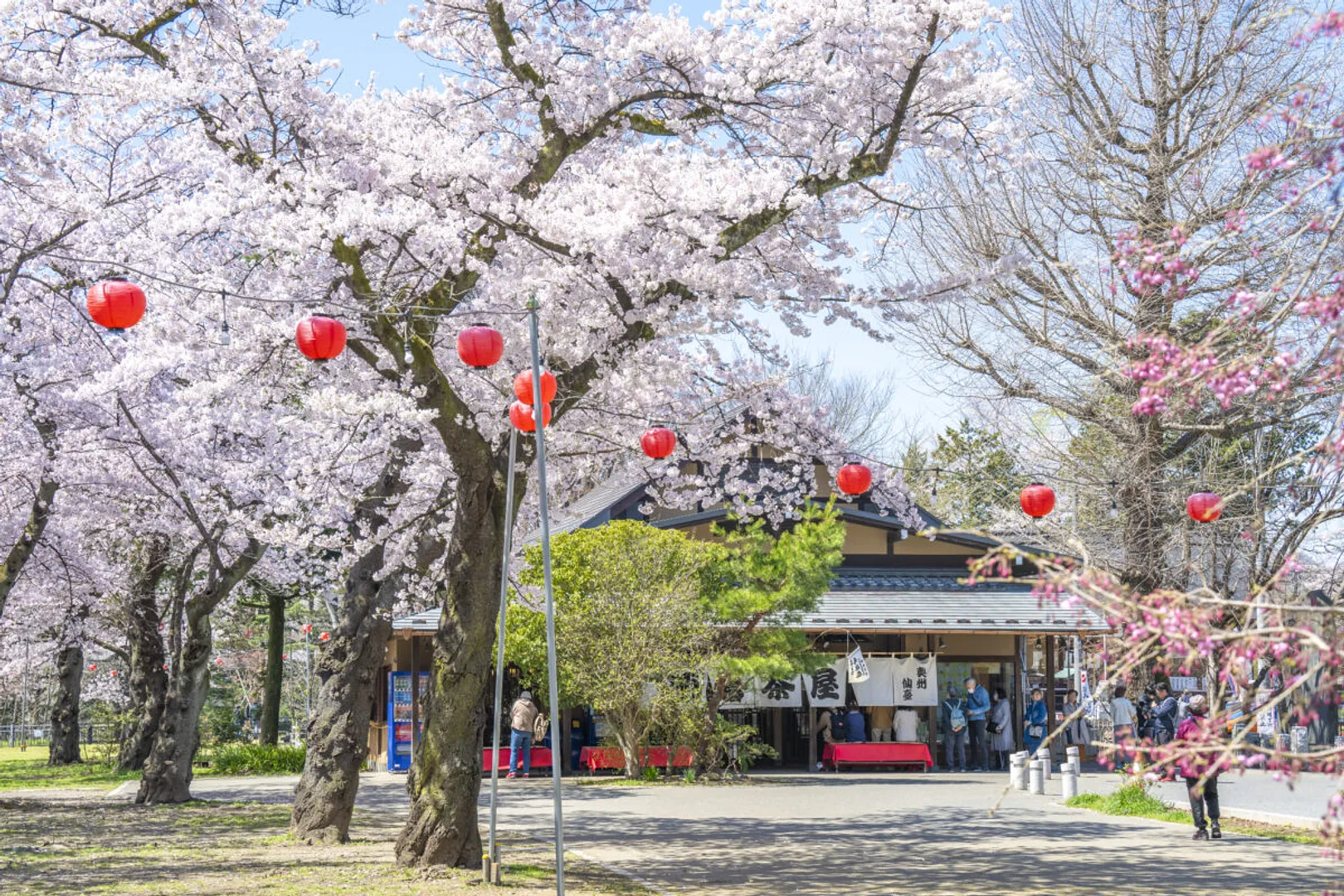 明治元年創業の「源吾茶屋」