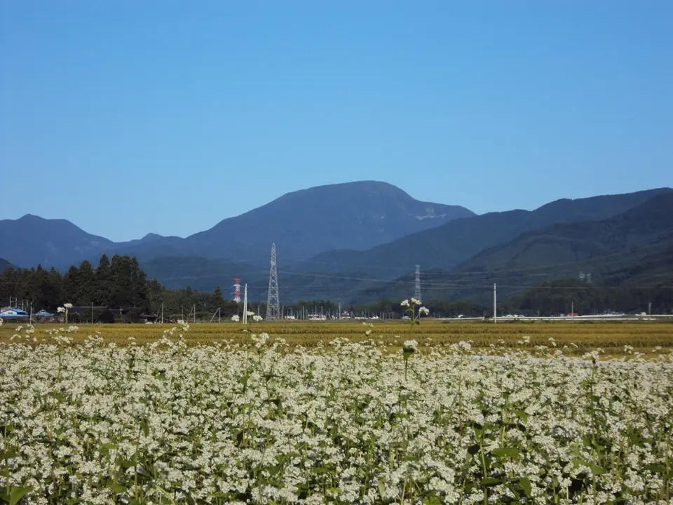 晩夏のそば畑から見える大東岳