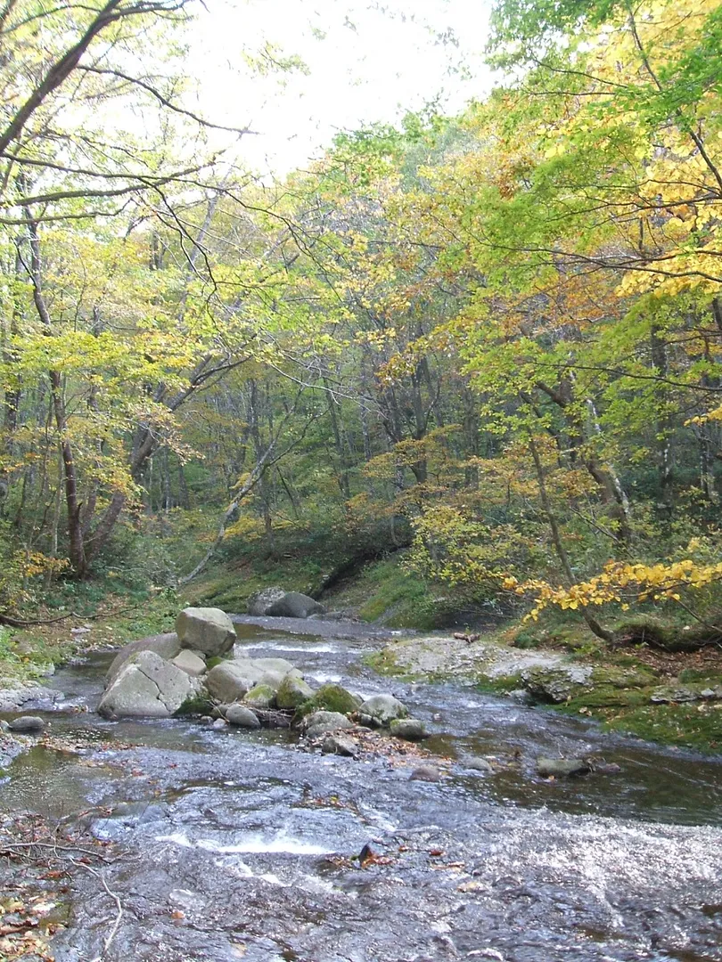 川のせせらぎを聞きながら