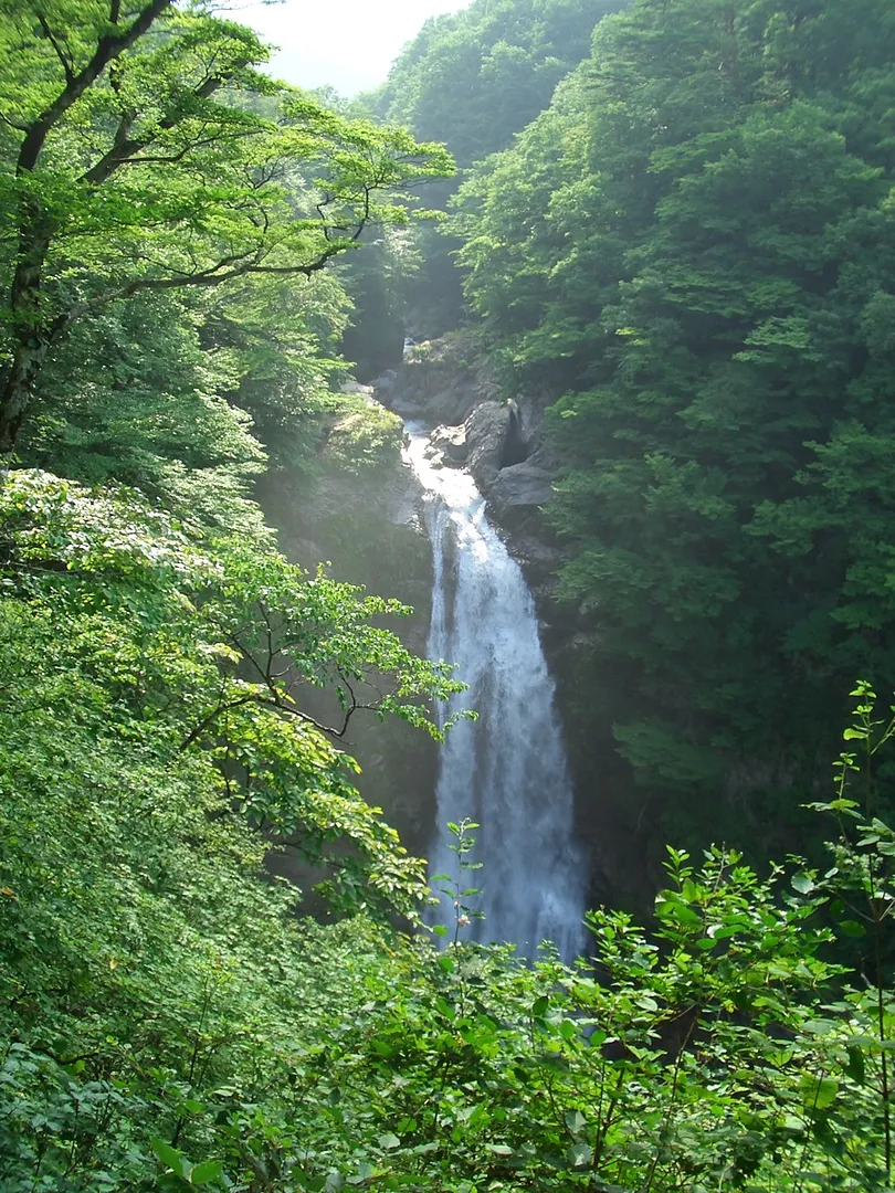 新緑に囲まれた秋保大滝