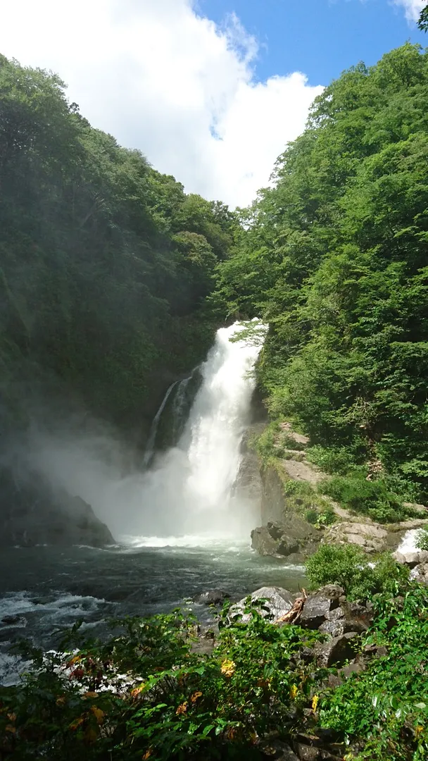 夏の空にきらきら輝く水飛沫