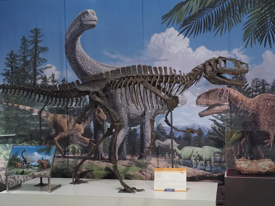 フクイラプトル全身骨格復元模型