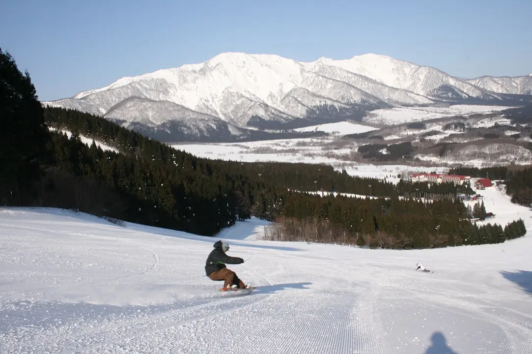 ロマンスフィールドと禿岳