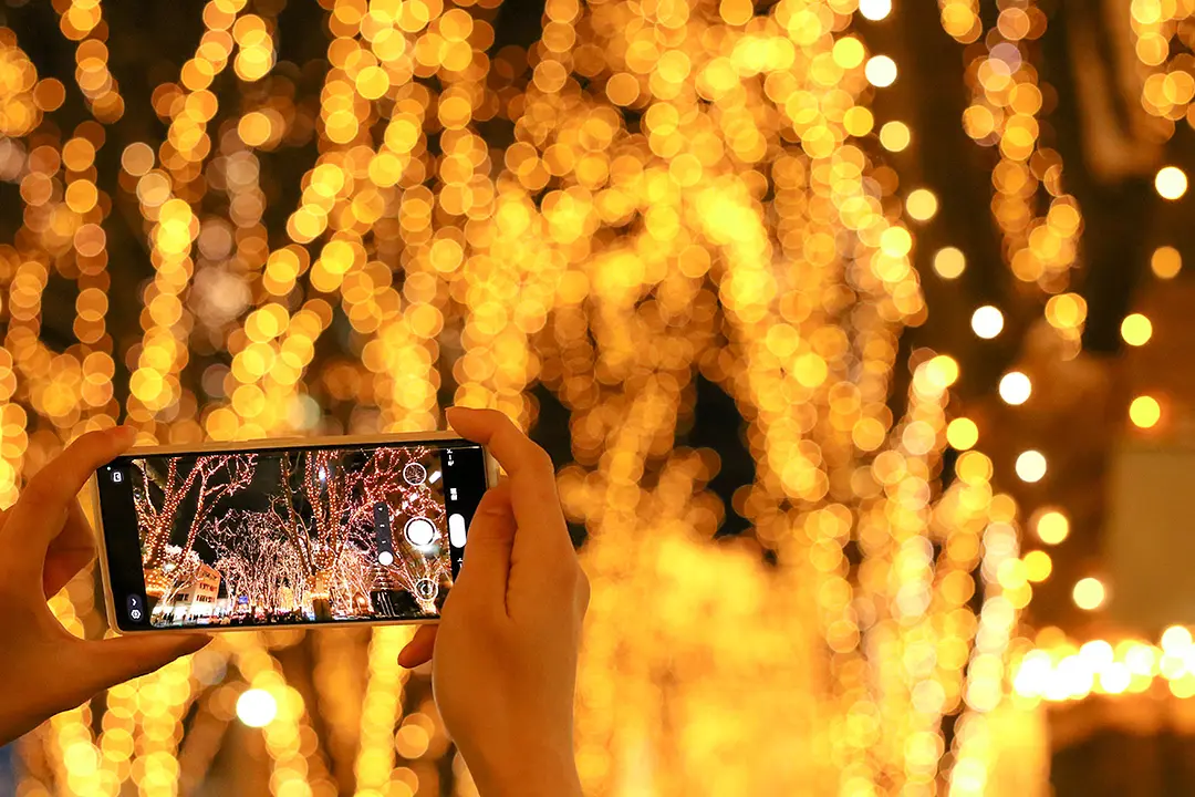 スターライトウインク