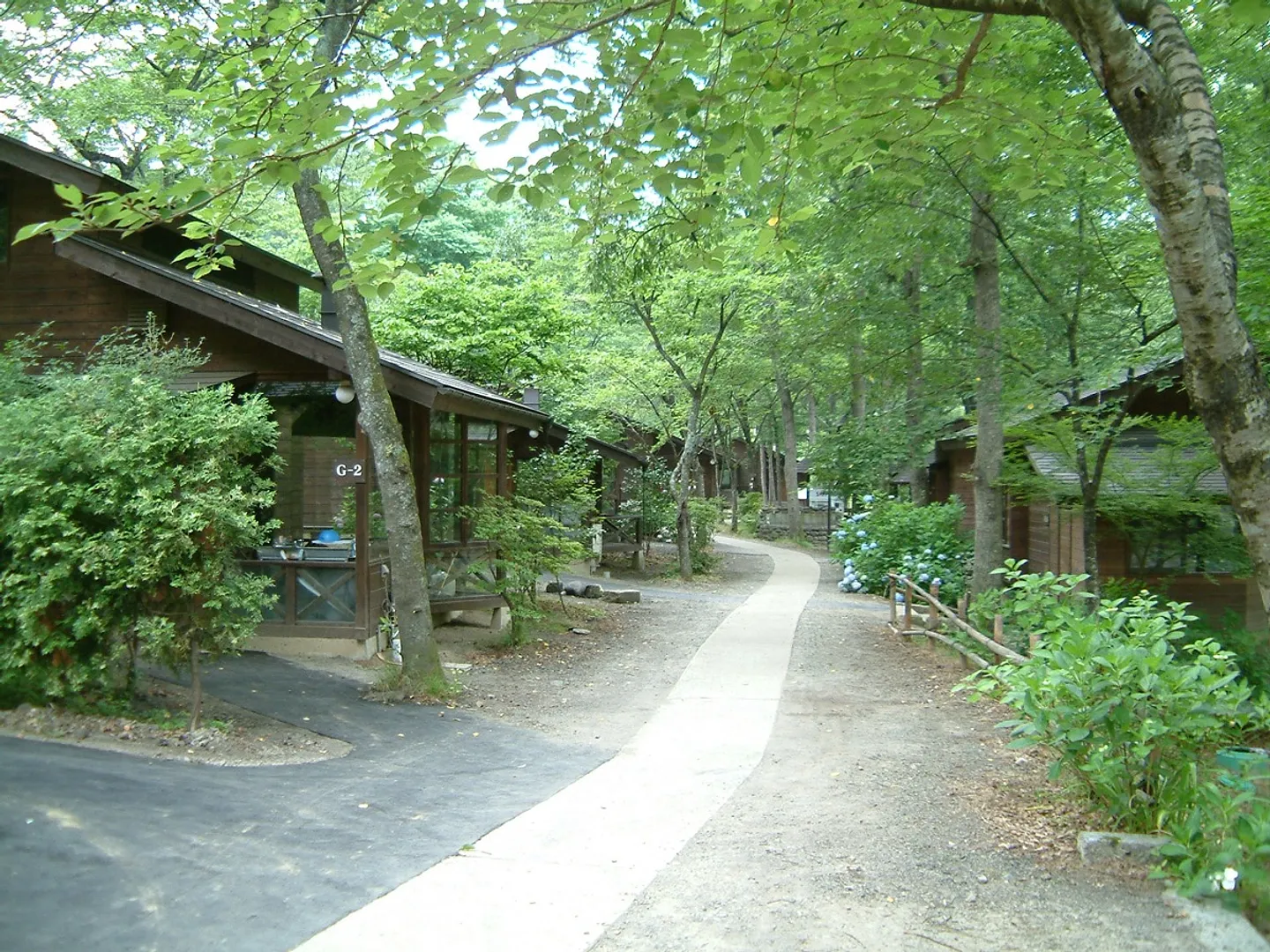 自然の中にあるロッジ群