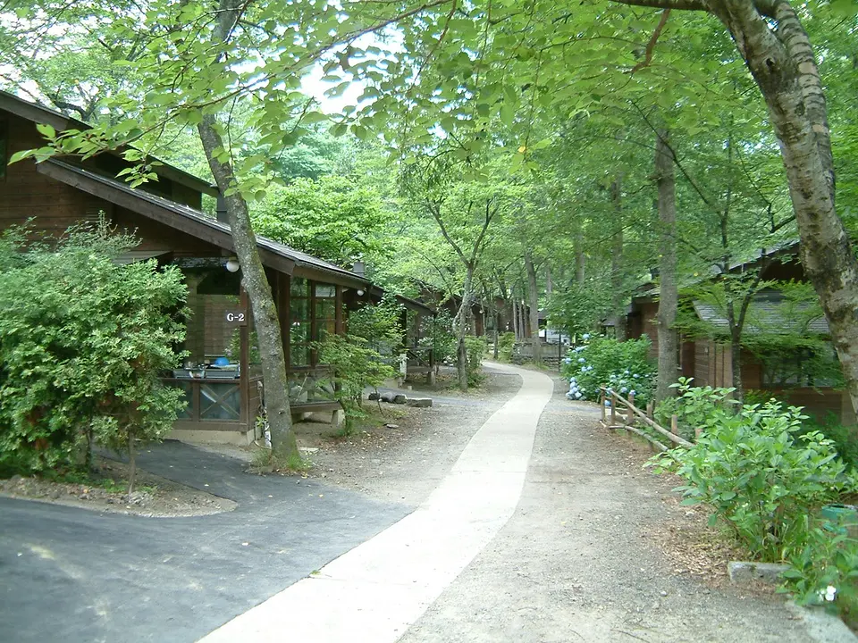 自然の中にあるロッジ群