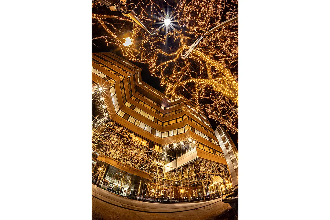 入選：fish’s perspective