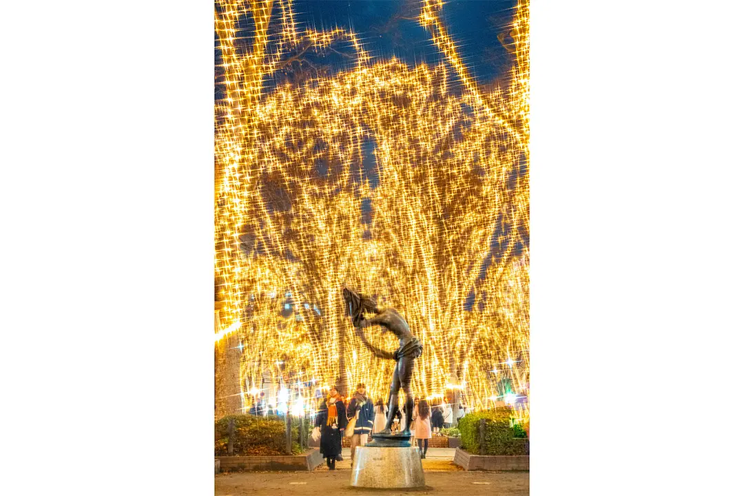 入選：光の舞踏会