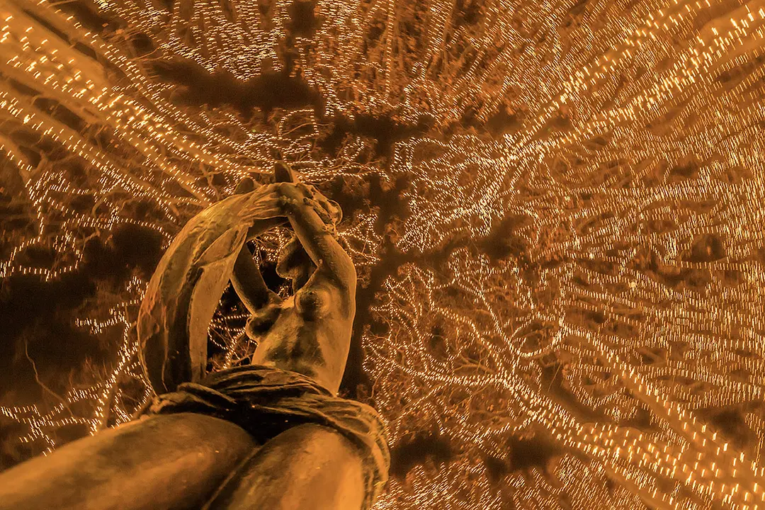 準グランプリ：光彩を見上げて