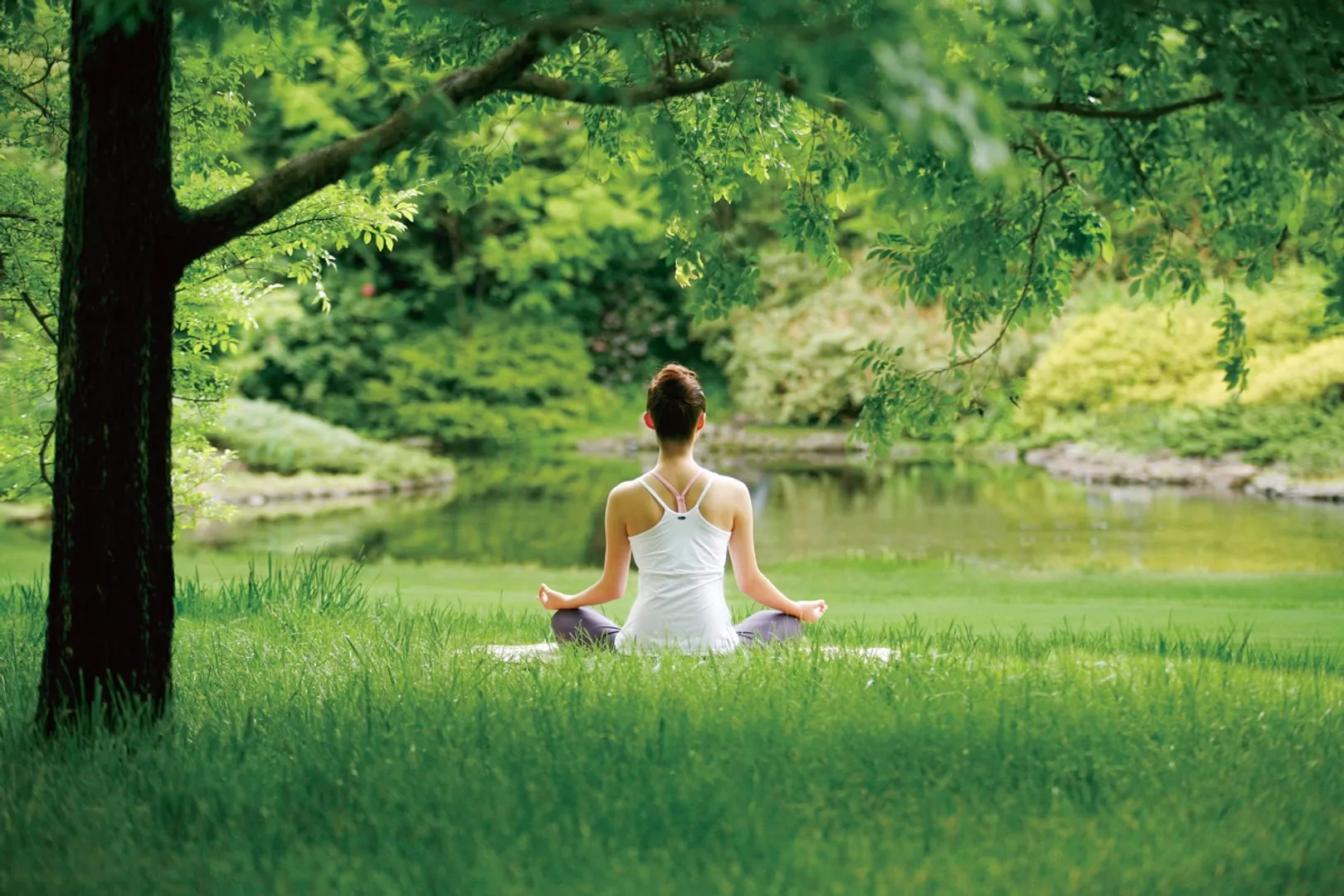 仙台駅から車で30分。泉スマートICも近く東北観光の拠点に便利なリゾートホテル。レンタルサイクルや、ガーデンヨガレッスン、星空観賞等アクティビティも充実。ゆったりとした空間でいつもと違う贅沢な時間をお過ごしください。