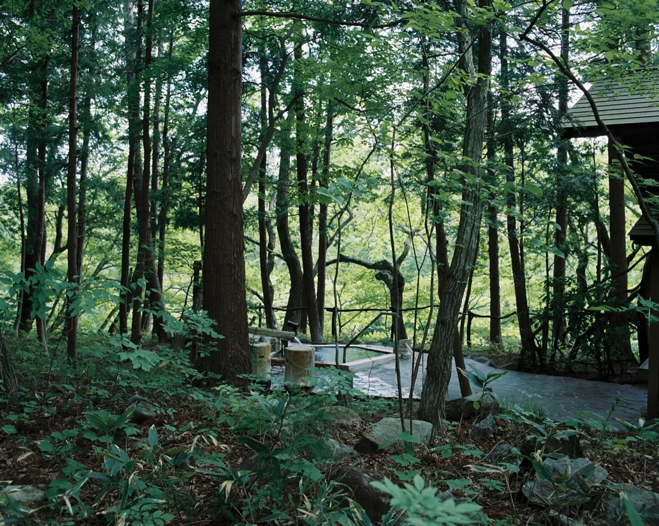 すべて自家源泉かけ流し。野趣の露天風呂を湯巡り
